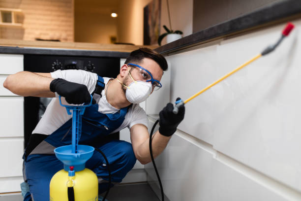 Best Rat Extermination Near Me  in Lewisville, NC